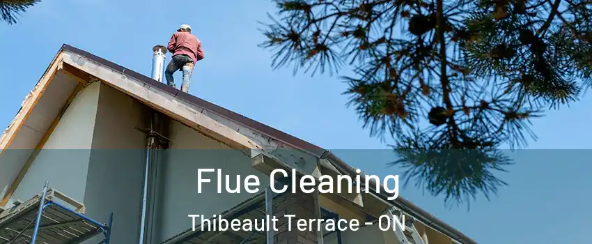  Flue Cleaning Thibeault Terrace - ON
