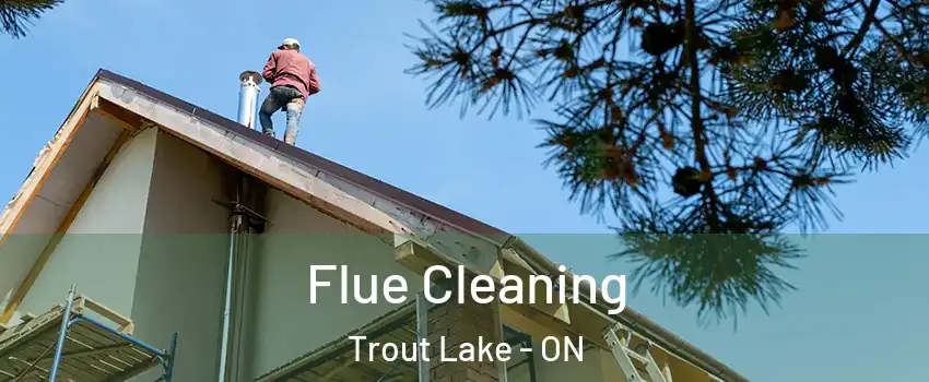  Flue Cleaning Trout Lake - ON