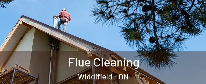  Flue Cleaning Widdifield - ON