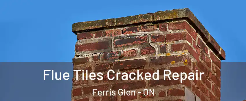  Flue Tiles Cracked Repair Ferris Glen - ON