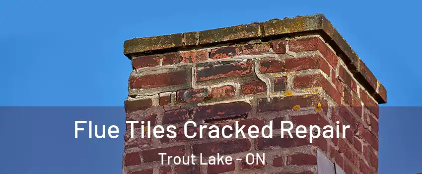  Flue Tiles Cracked Repair Trout Lake - ON