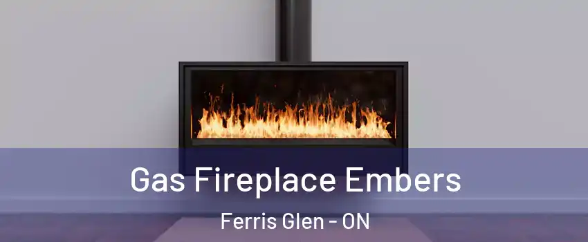  Gas Fireplace Embers Ferris Glen - ON