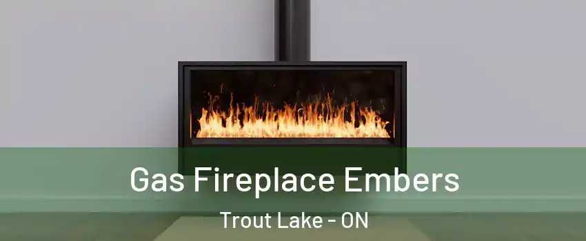  Gas Fireplace Embers Trout Lake - ON