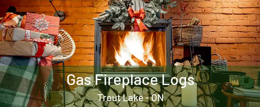  Gas Fireplace Logs Trout Lake - ON