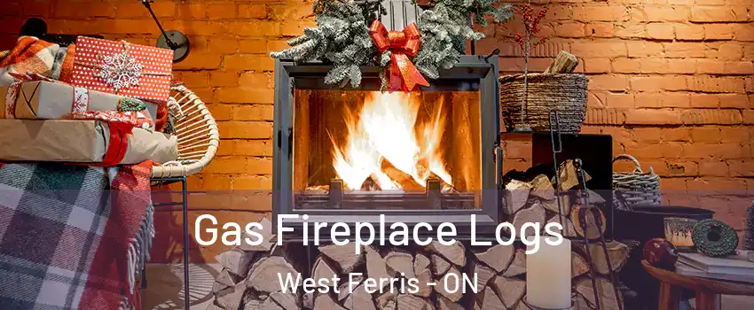  Gas Fireplace Logs West Ferris - ON