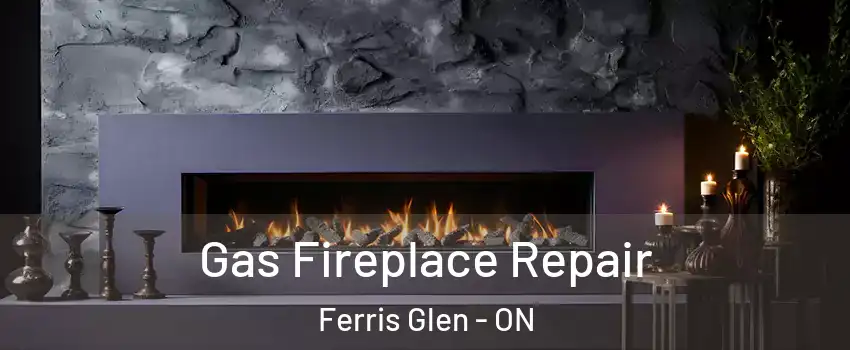  Gas Fireplace Repair Ferris Glen - ON