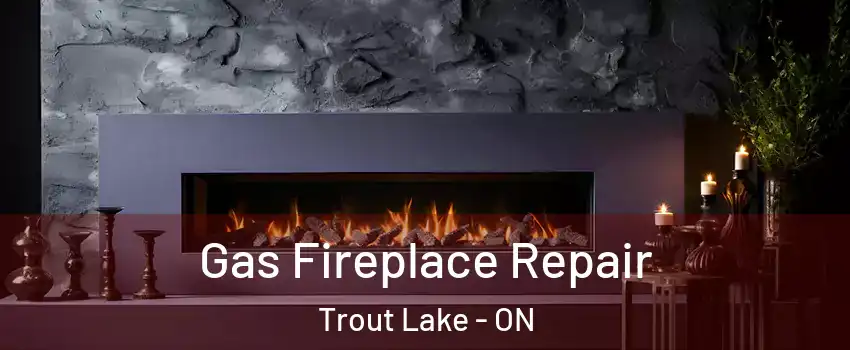  Gas Fireplace Repair Trout Lake - ON