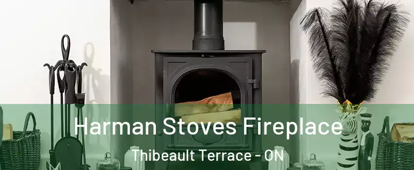  Harman Stoves Fireplace Thibeault Terrace - ON