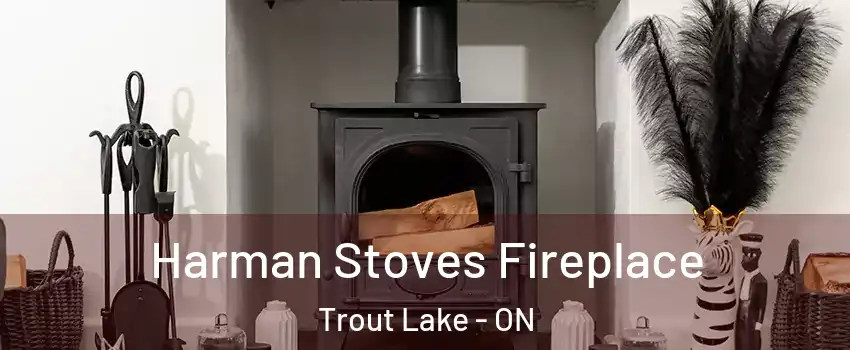  Harman Stoves Fireplace Trout Lake - ON