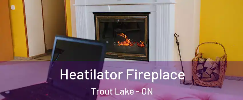  Heatilator Fireplace Trout Lake - ON