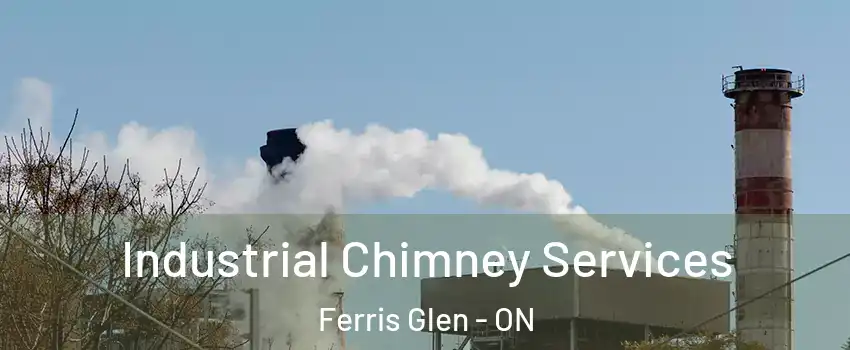  Industrial Chimney Services Ferris Glen - ON