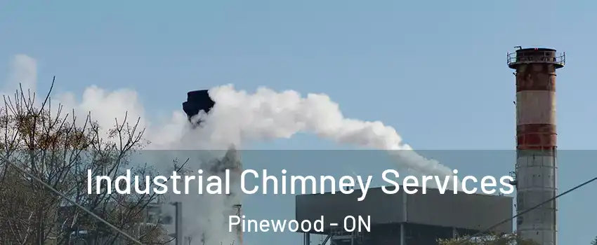 Industrial Chimney Services Pinewood - ON