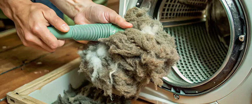 Best Dryer Lint Removal Company in North Bay, Ontario