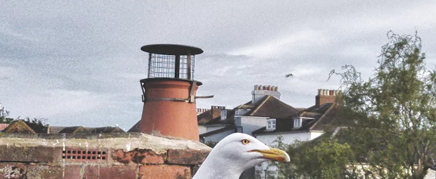 Chimney Cap Bird Guard Repair in North Bay, Ontario