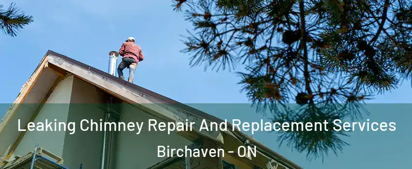  Leaking Chimney Repair And Replacement Services Birchaven - ON