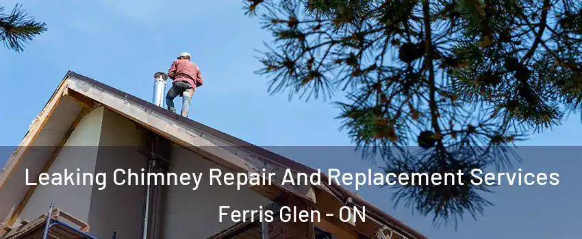  Leaking Chimney Repair And Replacement Services Ferris Glen - ON
