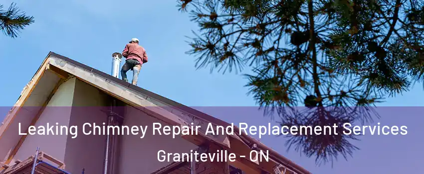  Leaking Chimney Repair And Replacement Services Graniteville - ON