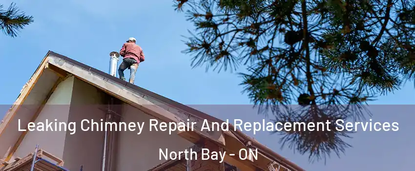  Leaking Chimney Repair And Replacement Services North Bay - ON