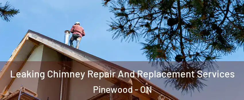  Leaking Chimney Repair And Replacement Services Pinewood - ON