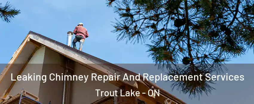  Leaking Chimney Repair And Replacement Services Trout Lake - ON