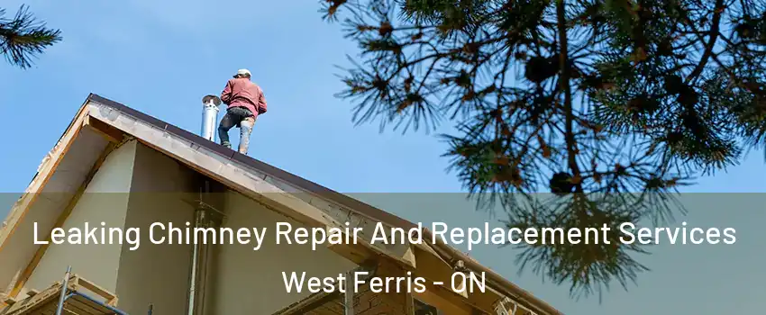  Leaking Chimney Repair And Replacement Services West Ferris - ON