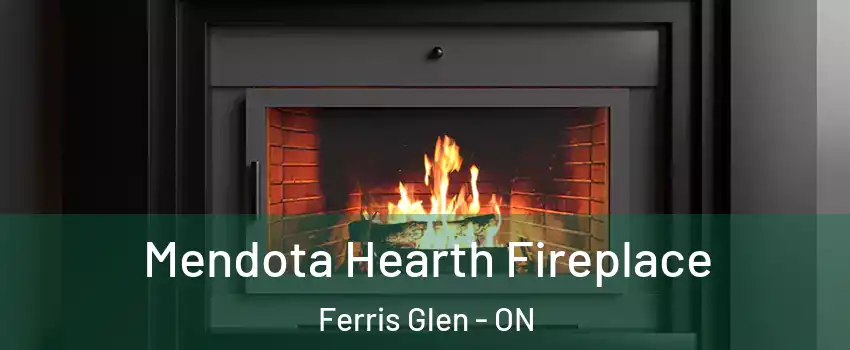 Mendota Hearth Fireplace Ferris Glen - ON