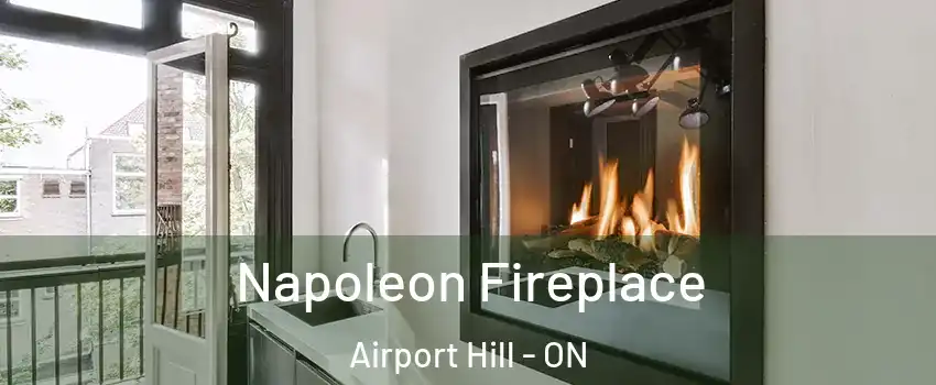  Napoleon Fireplace Airport Hill - ON