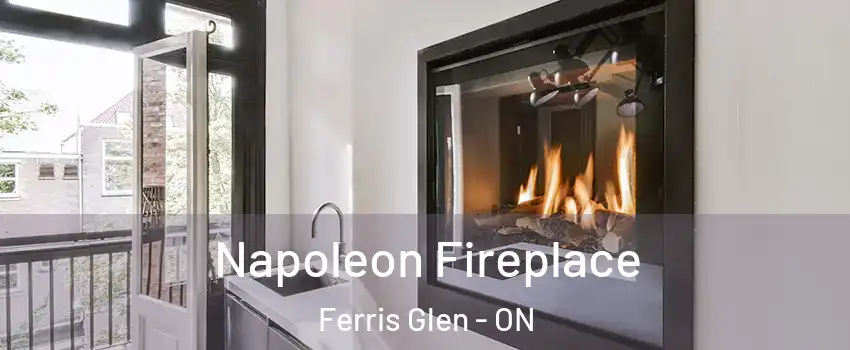  Napoleon Fireplace Ferris Glen - ON