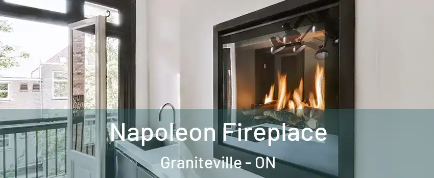  Napoleon Fireplace Graniteville - ON