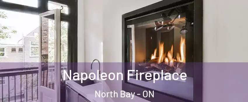  Napoleon Fireplace North Bay - ON