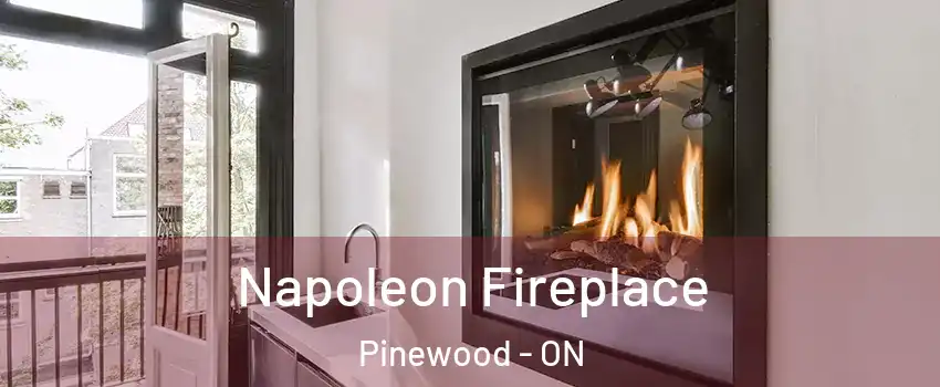  Napoleon Fireplace Pinewood - ON
