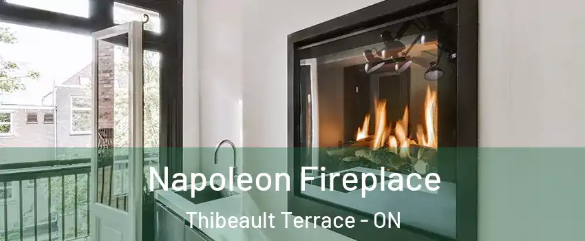  Napoleon Fireplace Thibeault Terrace - ON