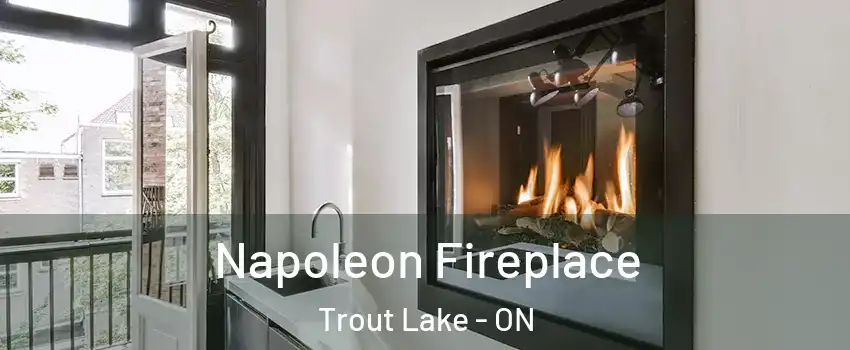  Napoleon Fireplace Trout Lake - ON