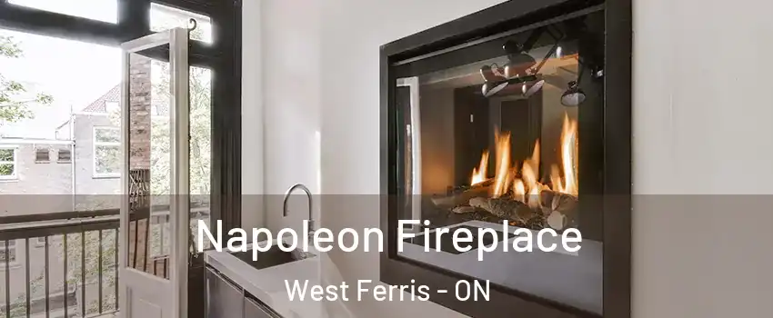  Napoleon Fireplace West Ferris - ON