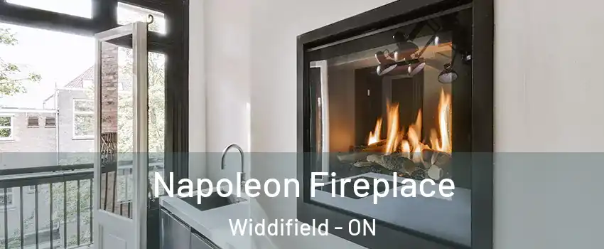  Napoleon Fireplace Widdifield - ON