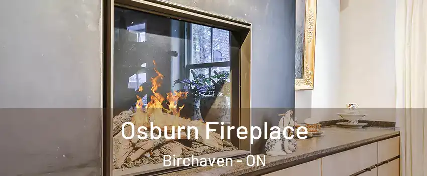  Osburn Fireplace Birchaven - ON