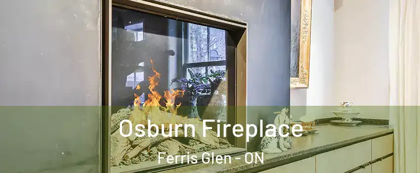  Osburn Fireplace Ferris Glen - ON