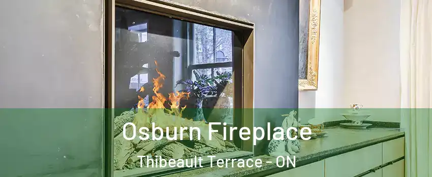  Osburn Fireplace Thibeault Terrace - ON