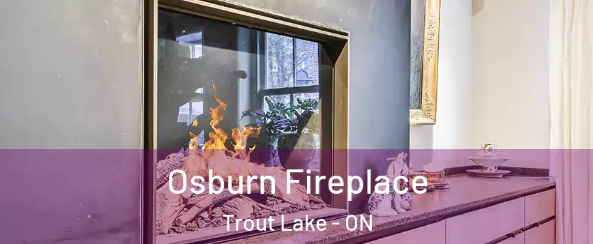 Osburn Fireplace Trout Lake - ON