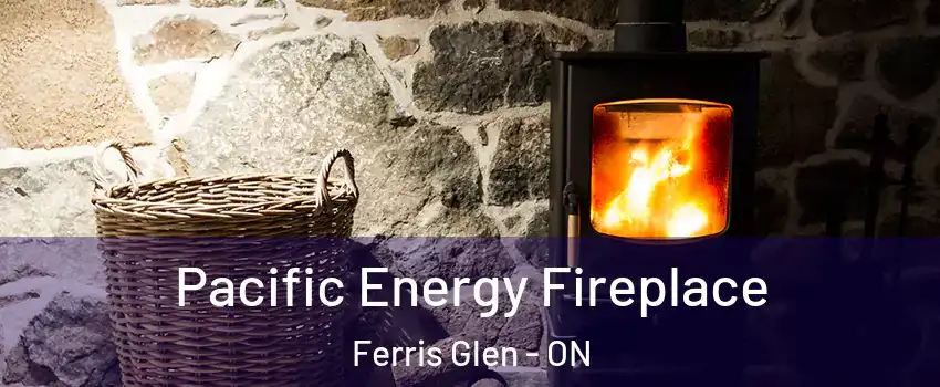  Pacific Energy Fireplace Ferris Glen - ON