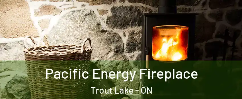 Pacific Energy Fireplace Trout Lake - ON