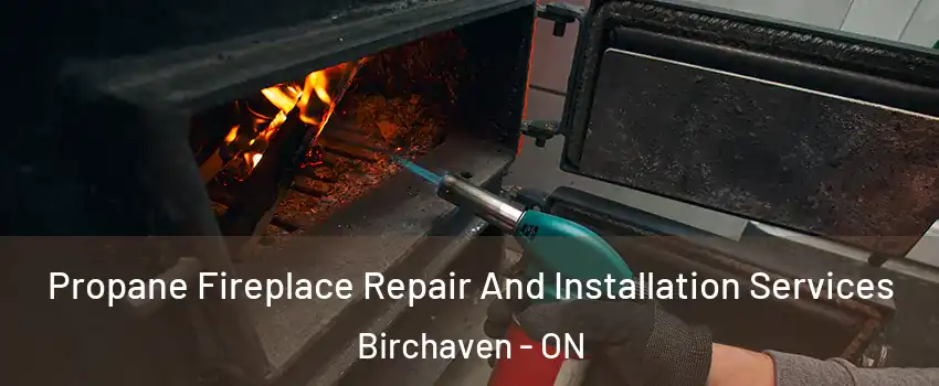Propane Fireplace Repair And Installation Services Birchaven - ON