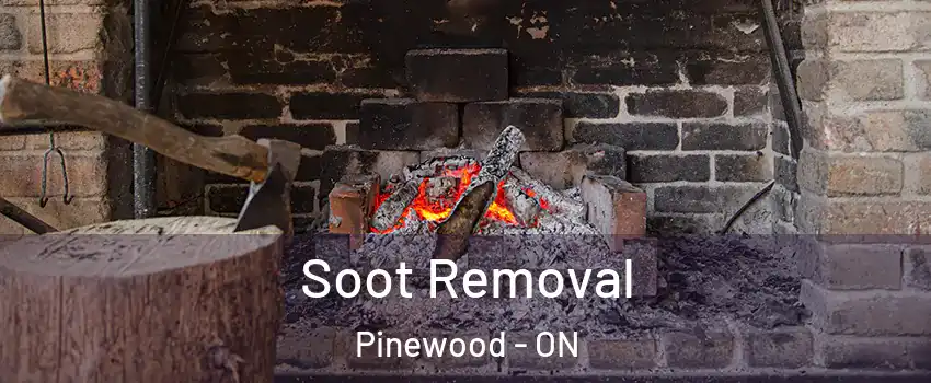  Soot Removal Pinewood - ON