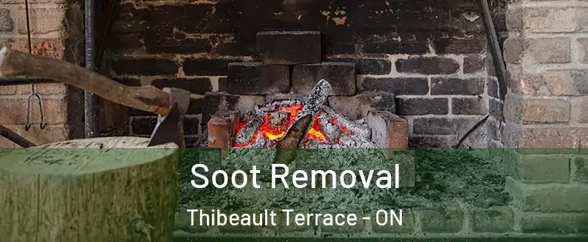  Soot Removal Thibeault Terrace - ON