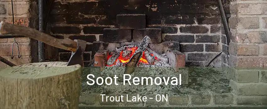  Soot Removal Trout Lake - ON
