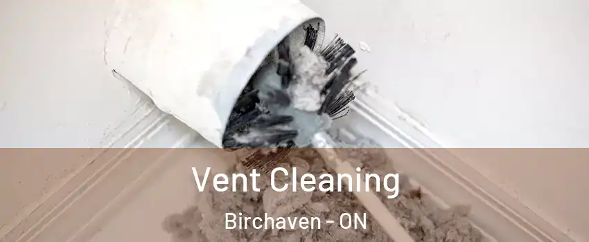  Vent Cleaning Birchaven - ON