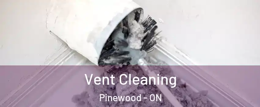  Vent Cleaning Pinewood - ON