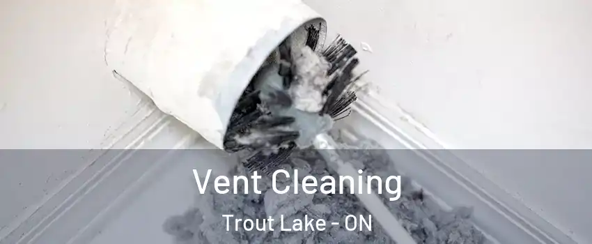  Vent Cleaning Trout Lake - ON