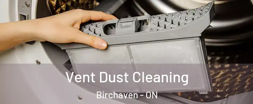  Vent Dust Cleaning Birchaven - ON