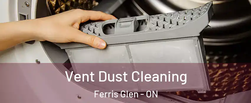  Vent Dust Cleaning Ferris Glen - ON